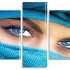 Arabian Blue Eyes panels paint by numbers