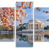 Cherry Blossom Jefferson Memorial Panels paint by numbers