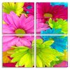 Colorful Flowers Panels paint by numbers