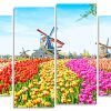 Colorful Tulips Field Panels paint by numbers