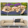 Labrador Puppies panels paint by numbers