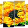 Blooming Sunflower panels paint by numbers