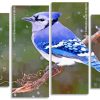 Blue Jay panel paint by numbers