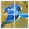 Flying Blue Jay Bird panels paint by numbers