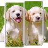 Labrador Retriever Pets panels paint by numbers