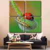 Ladybug Insect panels paint by numbers