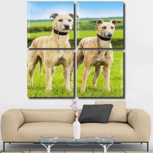 Lurcher Dogs panels paint by numbers