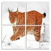 Lynx Cat Panels paint by numbers