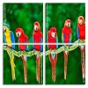 Macaw Birds Panel paint by numbers