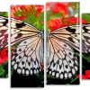 Monarch Butterfly panels paint by nummbers