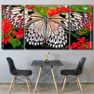 Monarch butterfly panel paint by numbers