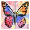 Multicolored Butterfly panels paint by numbers