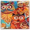 Owls Birds Art panels paint by numbers