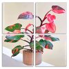 Pink Philodendron Panels paint by numbers