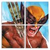 The Wolverine panel paint by numbers