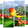 Western Tenager Bird panels paint by numbers