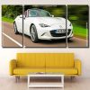 White Mx5 Car panels paint by numbers