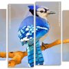 Blue Jay Bird panels paint by numbers