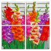 Colorful Gladiolus Flowers panels paint by numbers