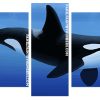 Aesthetic Killer Whale Panel paint by numbers