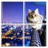 A Cat With City View At Night panels paint by numbers