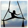 Aerial Ribbon Dancer Silhouette Panel paint by numbers