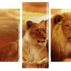 African Lion And Lioness Panels paint by numbers