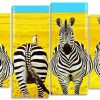 African Zebra Panel paint by numbers