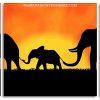 African Elephants Sunset panels paint by numbers