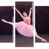 Ballet Dancer Panels paint by numbers