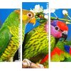 Beautiful Birds Panels paint by numbers