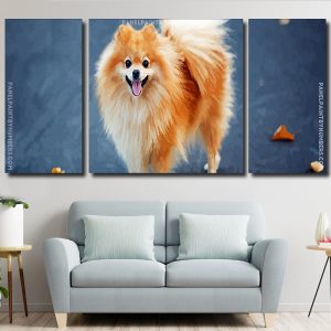 Blonde Pomeranian Dog Panels paint by numbers