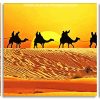 Camels In Desert Panel paint by numbers