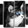 Cat With Blue Eyes Panels paint by numbers