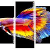 Colourful Betta Fish Panels paint by numbers