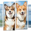 Corgis Puppies panels paint by numbers