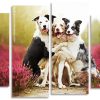 Cute Collies panels paint by numbers