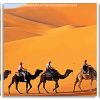 Desert Camels panels paint by numbers