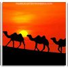 Desert Camels Silhouette Panels paint by numbers