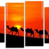 Desert Camels Silhouette Panels paint by numbers