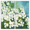 Dogwood Plants panels paint by numbers