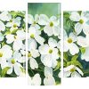 Dogwood Plants Panels paint by numbers