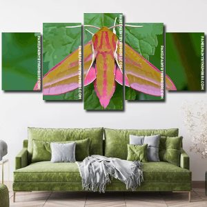 Elephant Hawk Moth panels paint by numbers