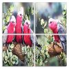 Galah Birds Panels paint by numbers