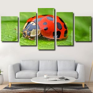 Ladybug Insect Panels paint by numbers