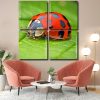 Ladybug Insect panels paint by numbers