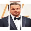 Leonardo DiCaprio Panels paint by numbers