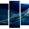 Megalodon Shark Fish Panels paint by numbers