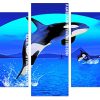 Orca Jumping Panels paint by numbers