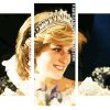 Princess Diana panels paint by numbers